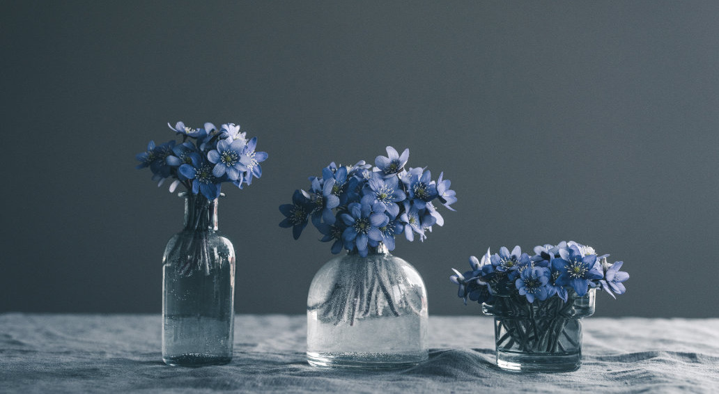 Blue flowers in their pots